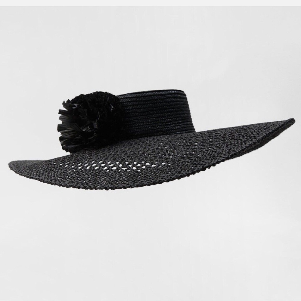 NWT Zara Limited Edition Floral Raffia Wide Brim Sun Picture Hat